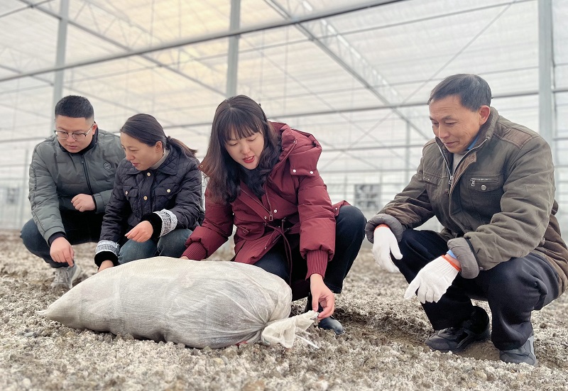 微信图片_20250928092416_228_173.jpg 微信图片_20250928092416_228_173.jpg